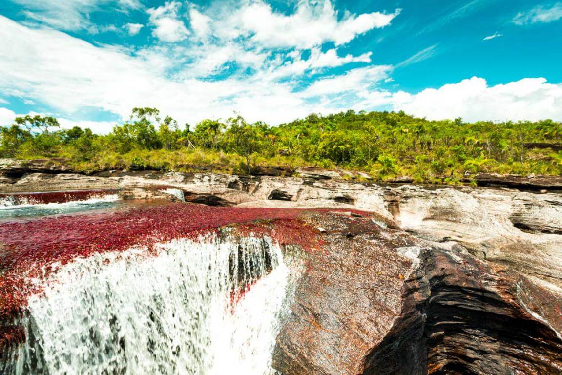 Ecolodge Colombia Ecoturismo Colombia