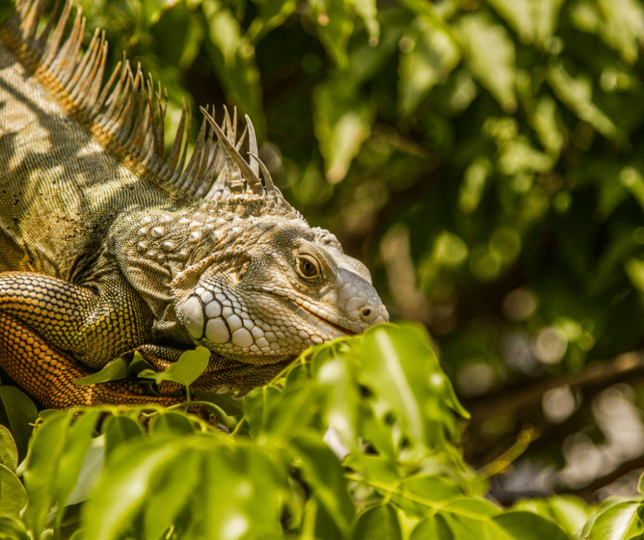 Ecolodge Colombia Ecoturismo Colombia