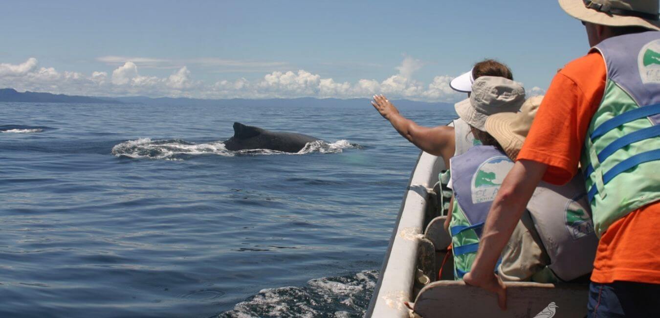 Viajar a Bahía Solano