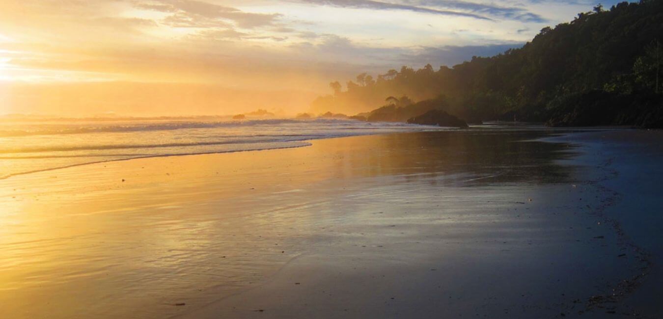 Avistamiento de Ballenas