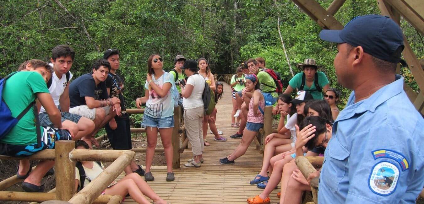 Avistamiento de Ballenas