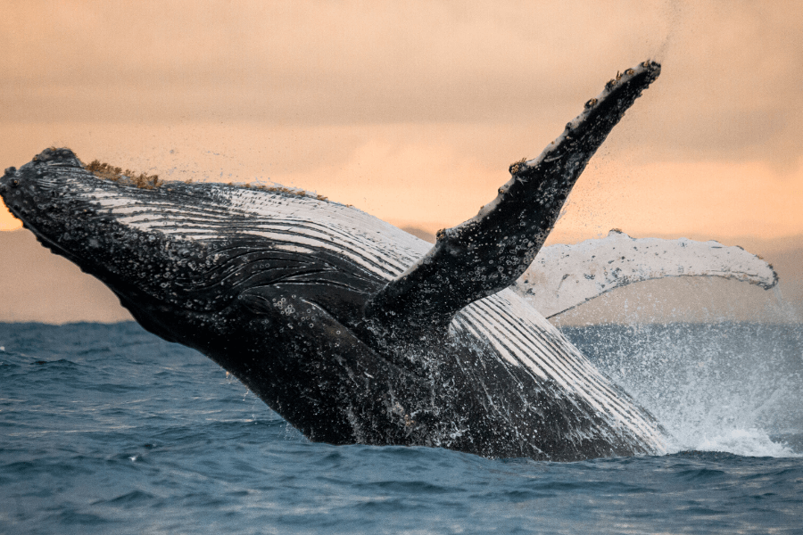 Ecoturismo en Colombia Ecolodge