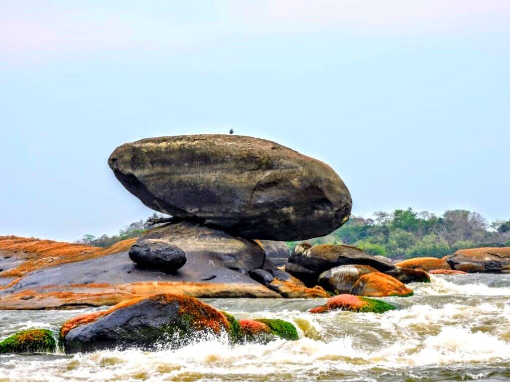 Los Cerros de Mavecure y Tuparro