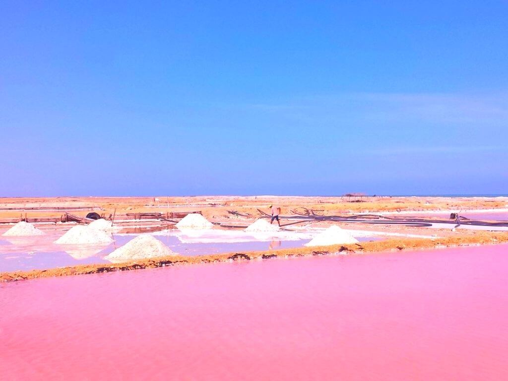 Tour de 2 días en Guajira