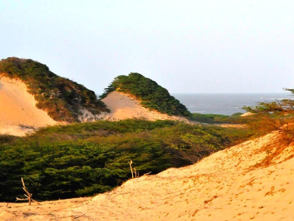 tour-de-4-dias-en-guajira