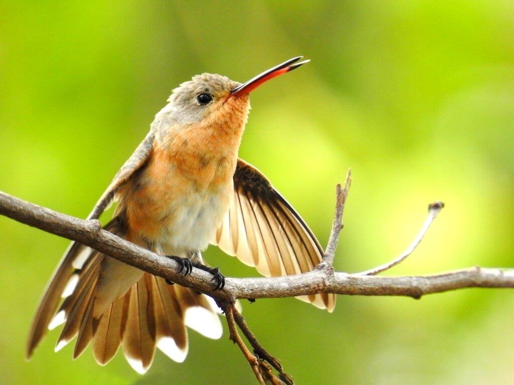 Tour a Camarones - SFF Los Flamencos