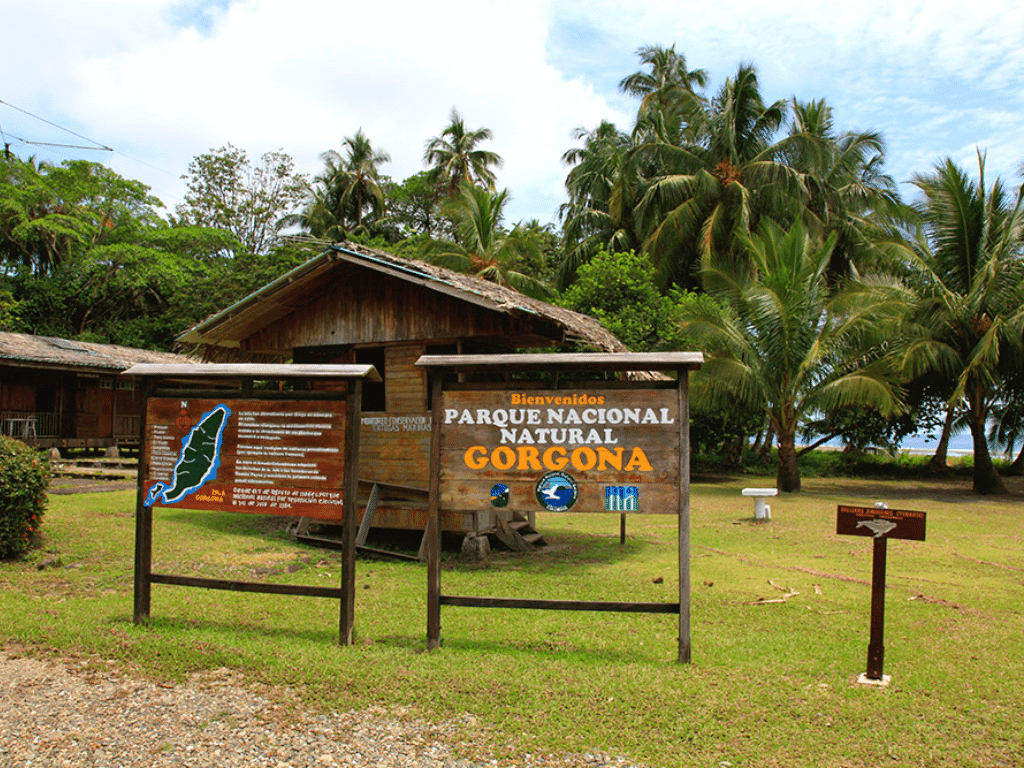 Avistamiento de Ballenas en Isla Gorgona