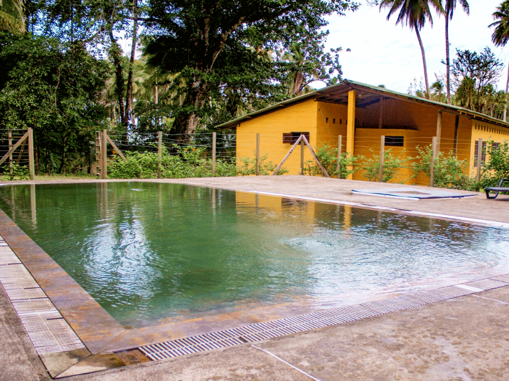 Avistamiento de Ballenas en Isla Gorgona