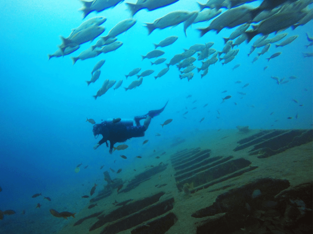 Buceo en Gorgona Colombia
