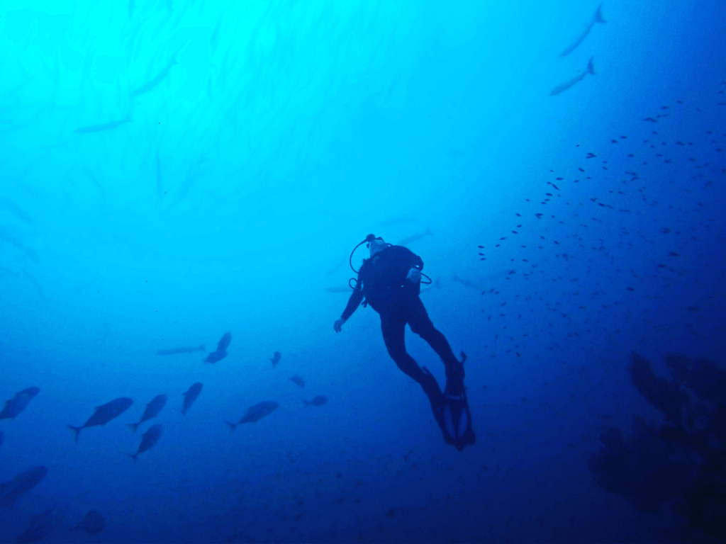 Buceo en Gorgona Colombia