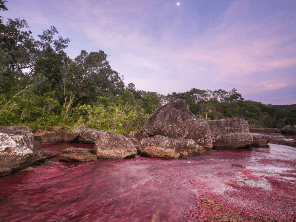 https://ecolodgecolombia.com/viajes-y-tours-a-cano-cristales/
