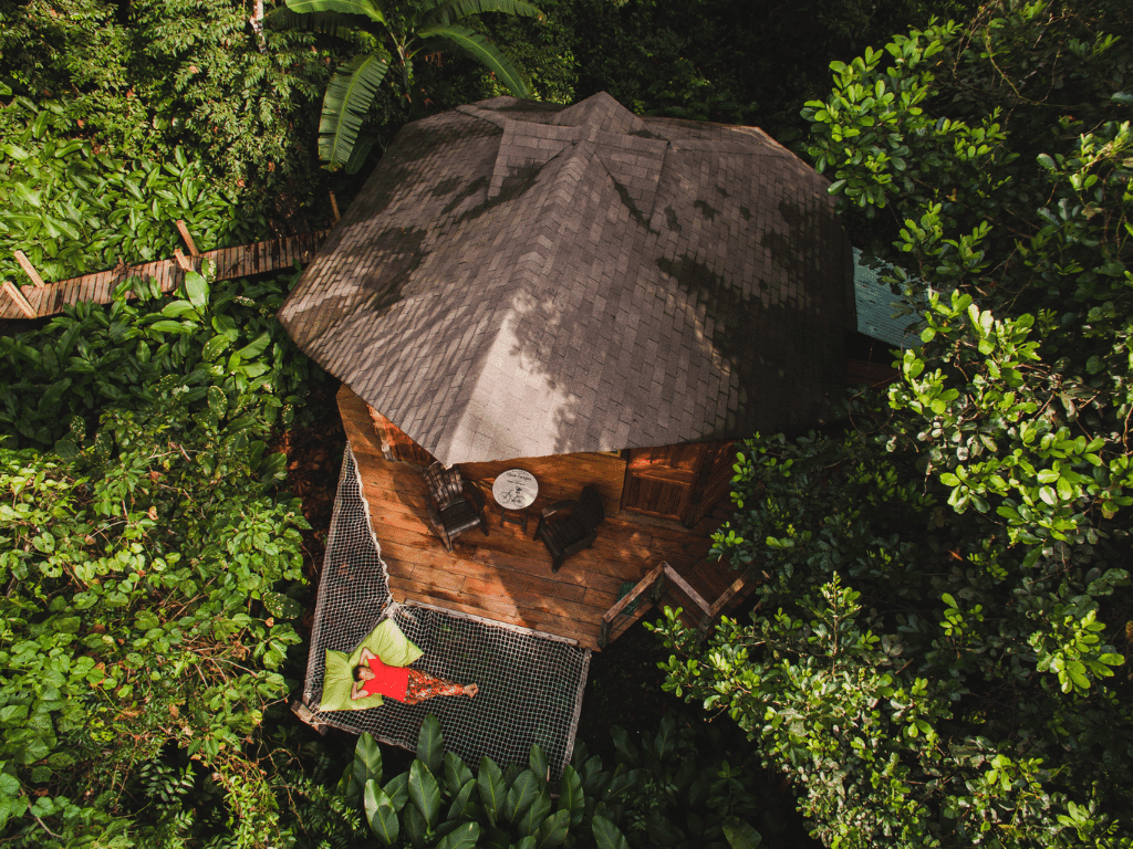 Viajes y tours en Caño Cristales