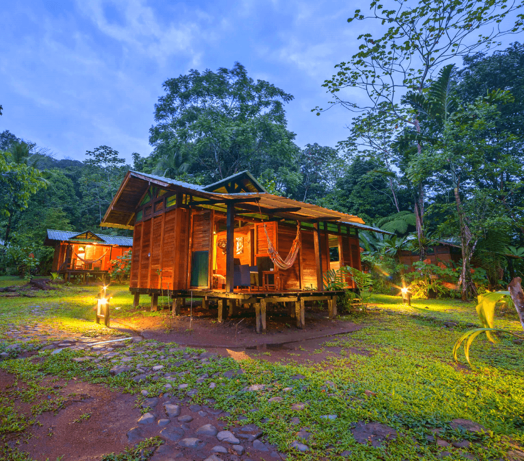 Avistamiento de Ballenas en el Pacífico