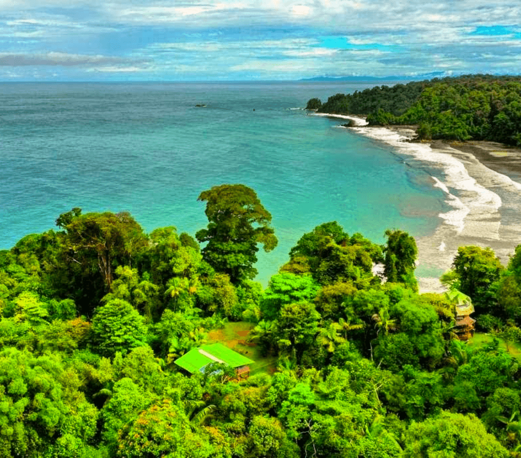 Avistamiento de Ballenas en el Pacífico