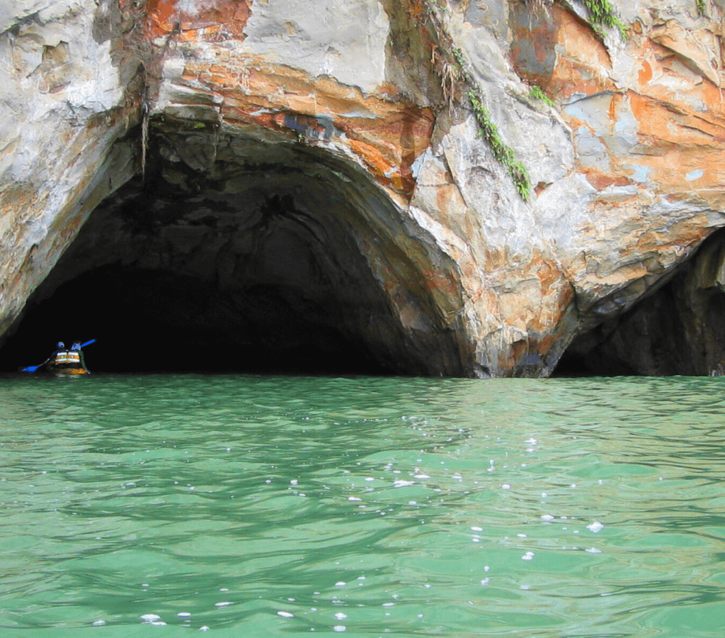 Avistamiento de Ballenas en Bahía Málaga