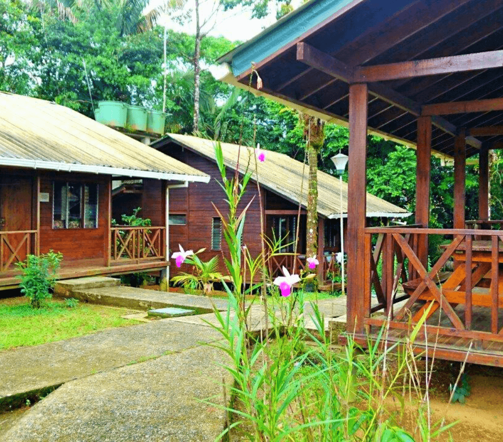 Avistamiento de Ballenas en Bahía Málaga