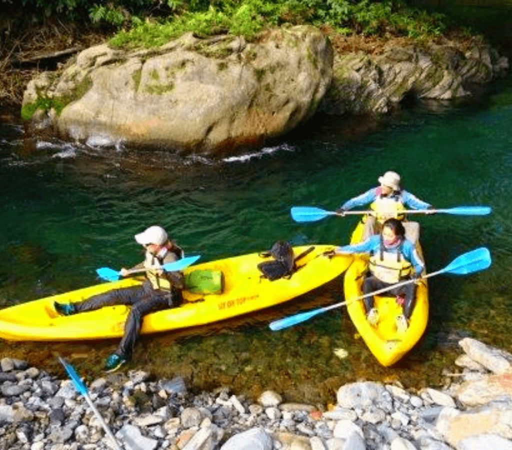 Avistamiento de Ballenas en Bahía Málaga