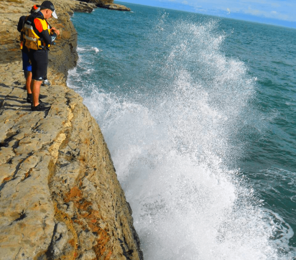 Avistamiento de Ballenas en Bahía Málaga