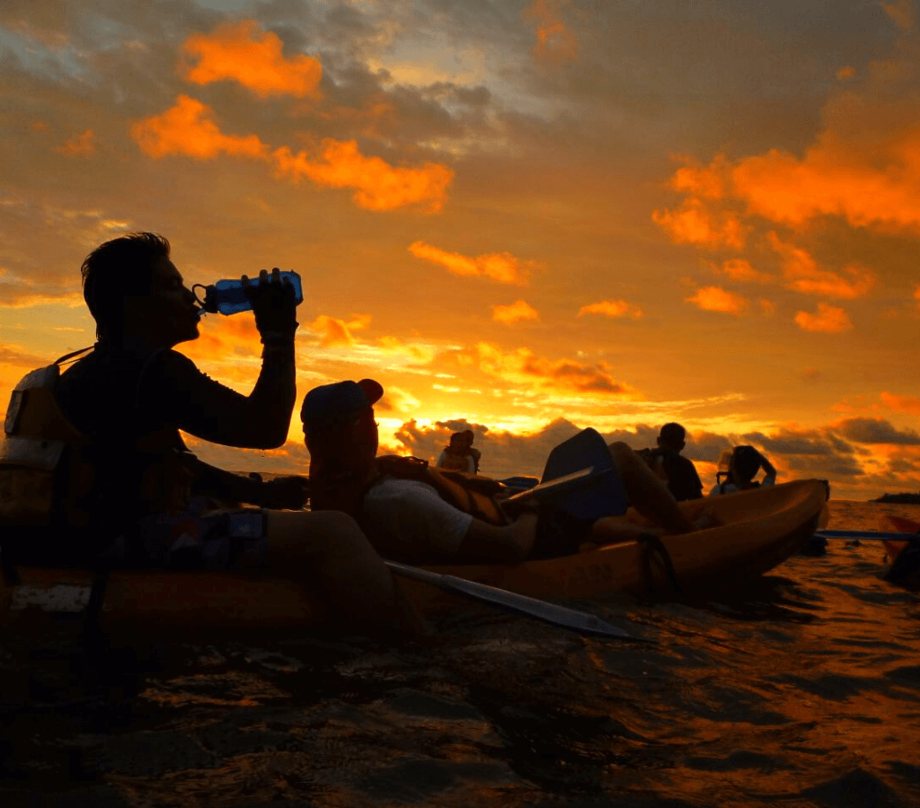 Avistamiento de Ballenas en Bahía Málaga